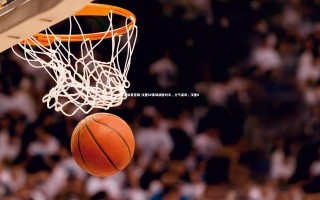 乐竞体育官网-汉堡SV客场战胜对手，士气高昂，汉堡dj