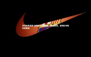 乐竞体育官网-深圳队对决西藏队，激情迸发，深圳队夺冠时的阵容